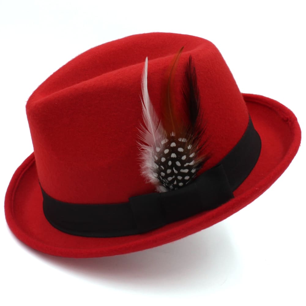 Carthy Feathers Wool Trilby Hat