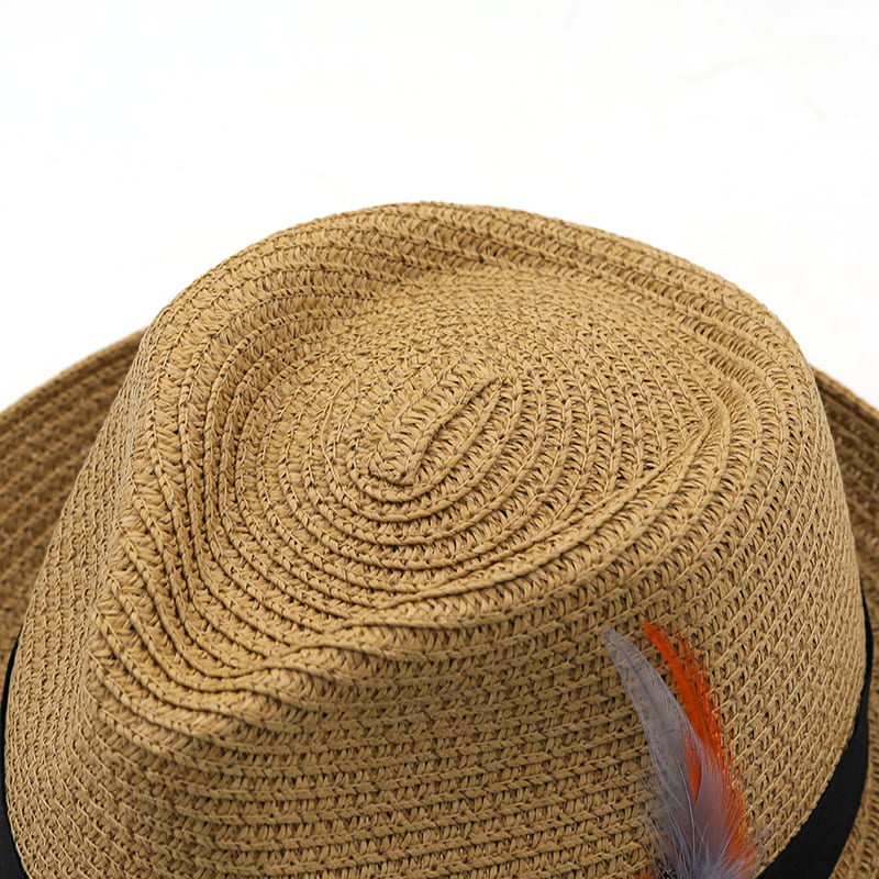 Delmare Feather Trilby Hat